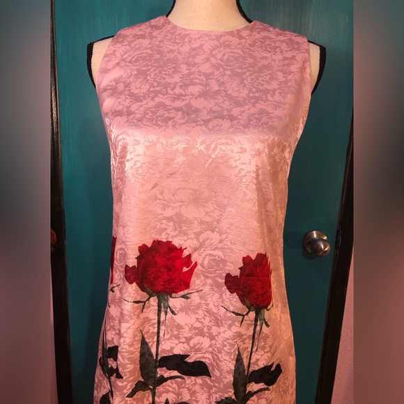 Baby Pink Red Rose Shift Dress 🌹 - Picture 9 of 15